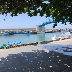 20190429_IMG_3604