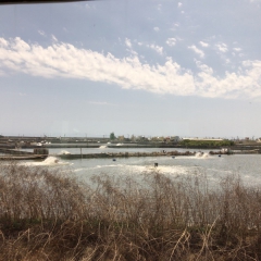20190429_IMG_3607